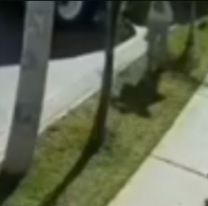 Brutal tragedia en plena obra: un alba&ntilde;il muri&oacute; de la peor manera