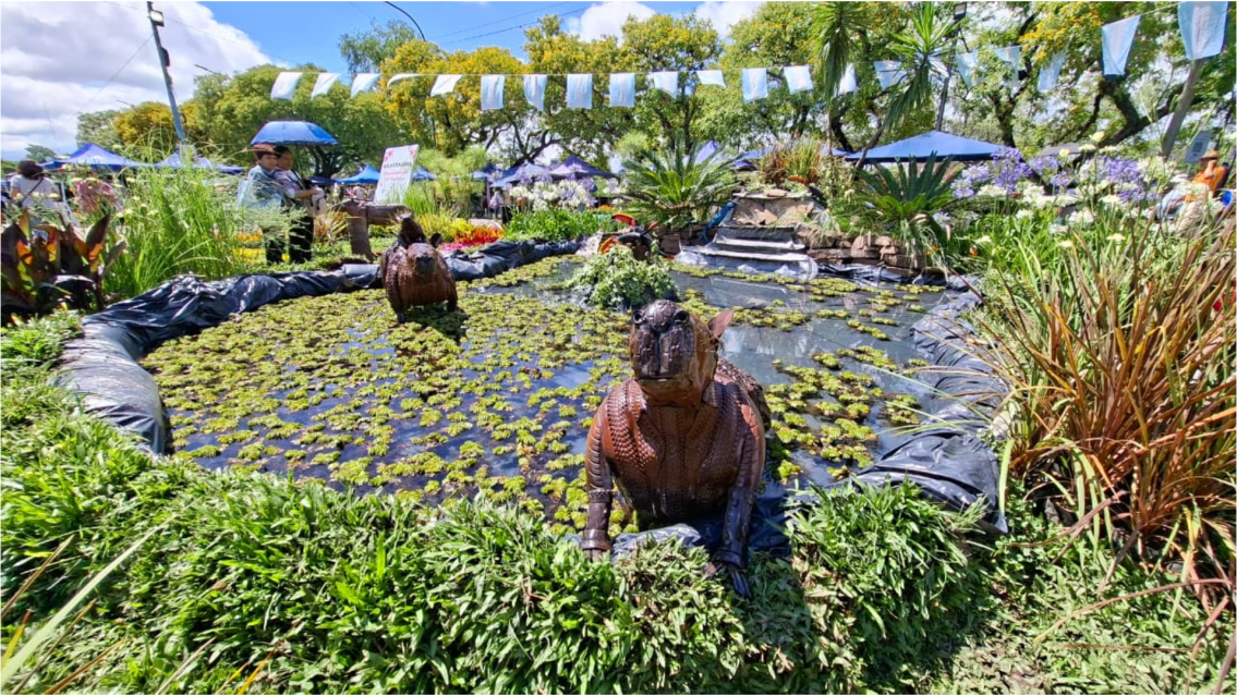 Una fantas�a para aprovechar hasta hoy en Jujuy: 