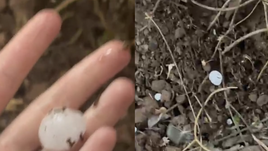 Graniz� en estos lugares de Jujuy: "como pelotitas de golf"