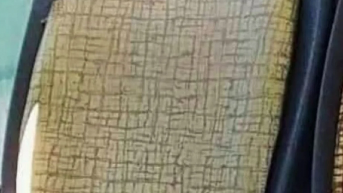 "Epa, se te cay�": el ins�lito "juguete" que se olvidaron en el asiento de un colectivo de Jujuy