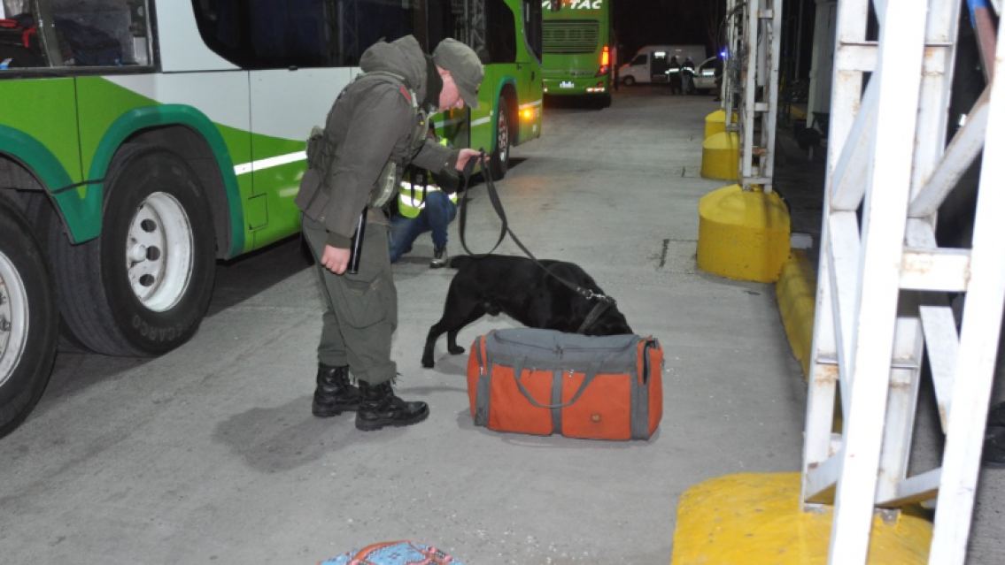 "Ese no es mi bolso, es de ella": jujeño llevaba droga en el bondi pero quiso echarle la culpa a una pasajera