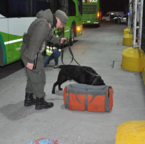 "Ese no es mi bolso, es de ella": jujeño llevaba droga en el bondi pero quiso echarle la culpa a una pasajera