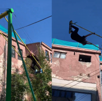 "Este chad cumplió el sueño de todo niño en el parque": video viral