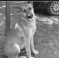 Conmoción en Jujuy: así descubrieron a los que atacaron a gringo