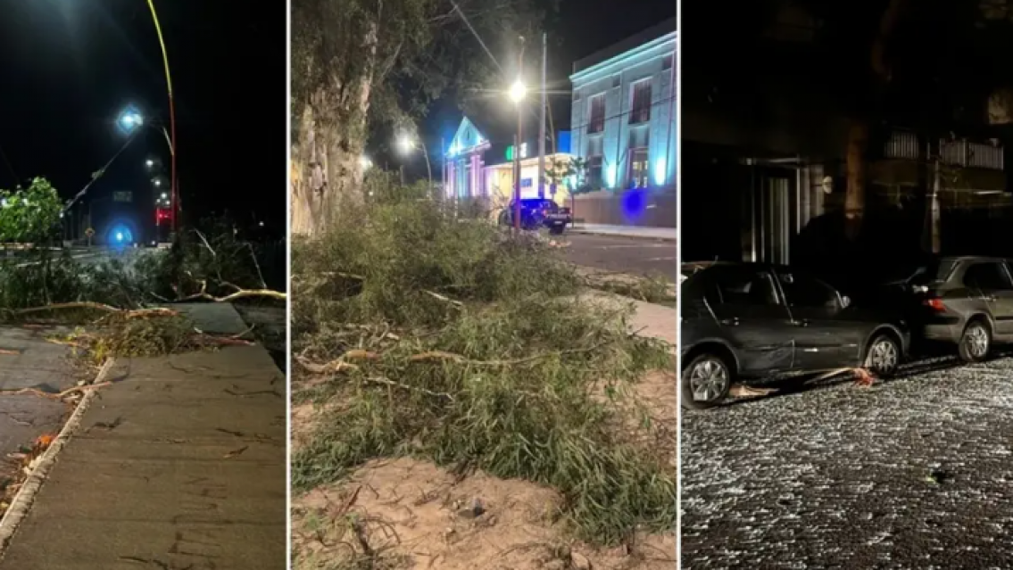 Tragedia por la lluvia: le cayó un árbol a un chico y murió
