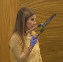 Cómo ganó su libertad la chica que le cortó los genitales a su amante