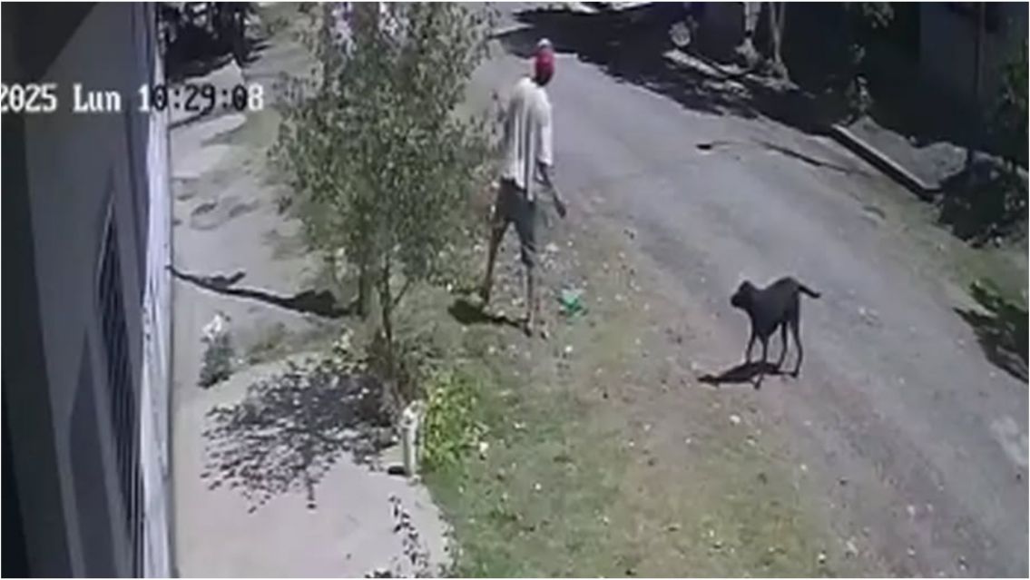 Vecinos de La Esperanza viven aterrados por un hombre que genera caos y miedo