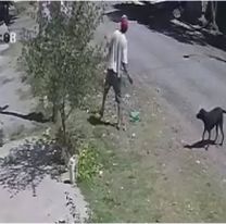 Vecinos de La Esperanza viven aterrados por un hombre que genera caos y miedo