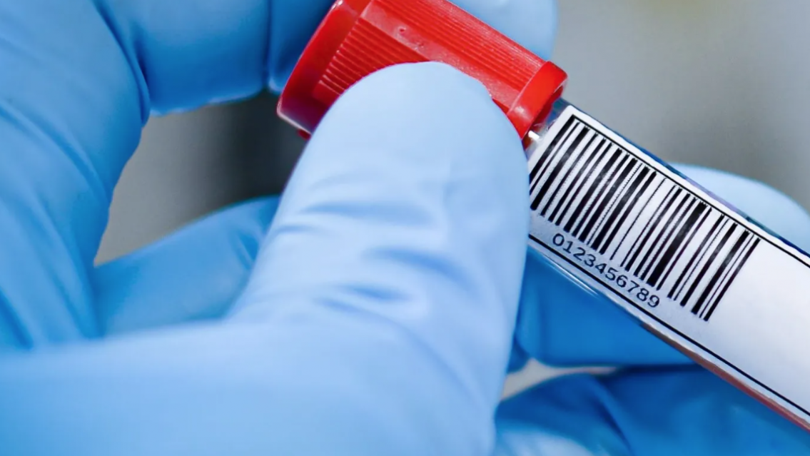 La s�filis alcanza cifras r�cord en Argentina: hay 181 casos en Jujuy