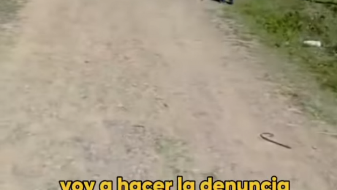 [VIDEO] "Que venga la polic�a": juje�o sali� a pasear a su perro y un vecino lo atac� con un machete