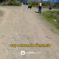 [VIDEO] "Que venga la policía": jujeño salió a pasear a su perro y un vecino lo atacó con un machete