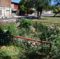 El 911 recibió un aviso que terminó en un hallazgo macabro