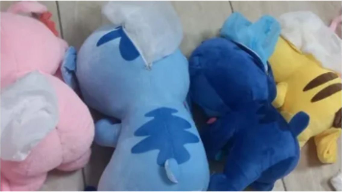 La "mula de los peluches": cayó una norteña que llevaba droga en Tucumán