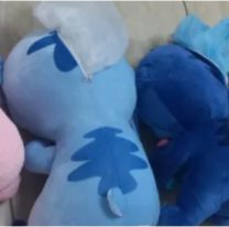 La "mula de los peluches": cayó una norteña que llevaba droga en Tucumán