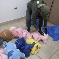 Ruta norteña, control y peluches llenos de cocaína en un tour de compras