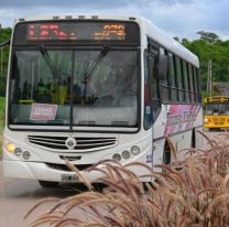 Concejales aprueban la licitación del transporte urbano: los cambios que se vienen