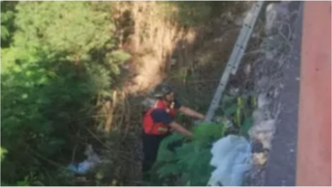 Cayeron a un canal de riego y los Bomberos lograron salvarlos a tiempo