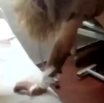 Una grave denuncia por un caso de violencia sacude a la policía de Catamarca