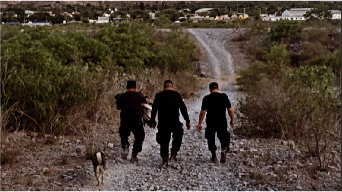 Rescate héroico en Volcán: policías salvaron a un cóndor herido