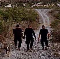 Rescate héroico en Volcán: policías salvaron a un cóndor herido