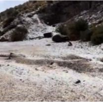En plena ola de calor, cayó nieve en Jujuy: qué zonas se tiñeron de blanco