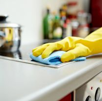 Cu&aacute;nto cobra una empleada dom&eacute;stica por 4 horas semanales en diciembre 2025