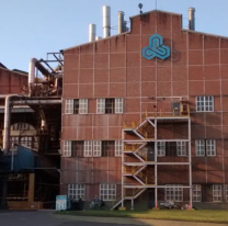 Según un informe, Ledesma es el único ingenio del país que despidió empleados