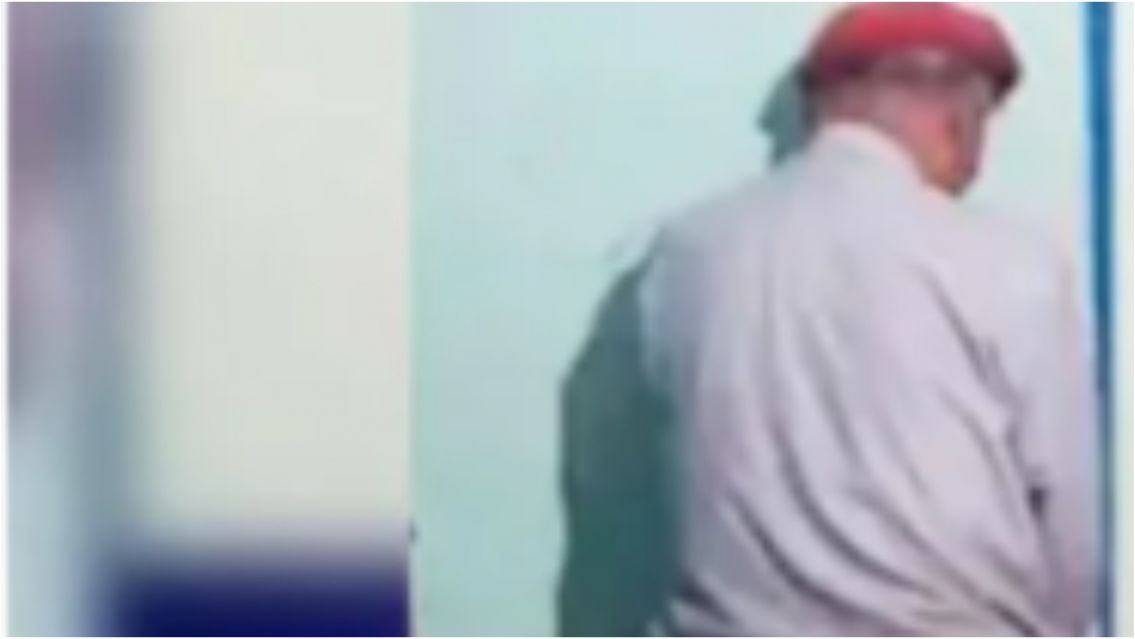 Detuvieron a un norteño que intentó hacerle lo peor a unos perritos recién nacidos