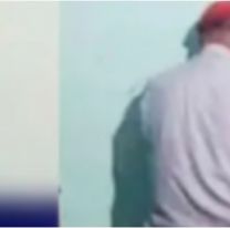 Detuvieron a un norteño que intentó hacerle lo peor a unos perritos recién nacidos