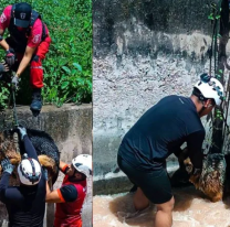 Tensión en un canal del Dique La Ciénaga: un perrito casi muere de la peor forma