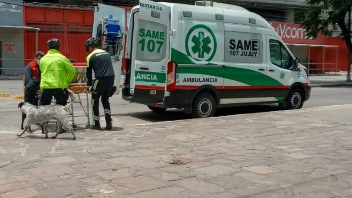 FOTO: JUJUY AL MOMENTO