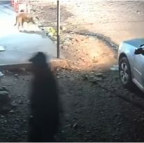 Juje&ntilde;o entr&oacute; como si nada y rob&oacute; de todo: lo buscan intensamente