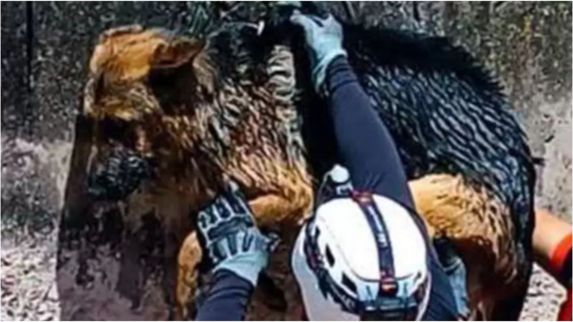 Fuente: Somos Jujuy.