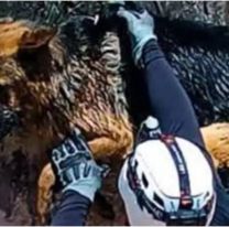 H&eacute;roes en El Carmen: salvaron a un perrito atrapado en un canal