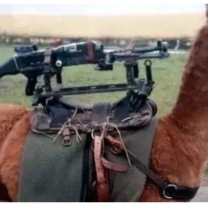 "Pasamos de las llamas a los aviones": chicana de Santilli al Kirchnerismo