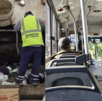 Qué servicios habrá disponibles este 8 de diciembre que es feriado nacional