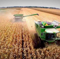 El Gobierno baja las retenciones a la soja, trigo y maíz para "impulsar la competitividad"