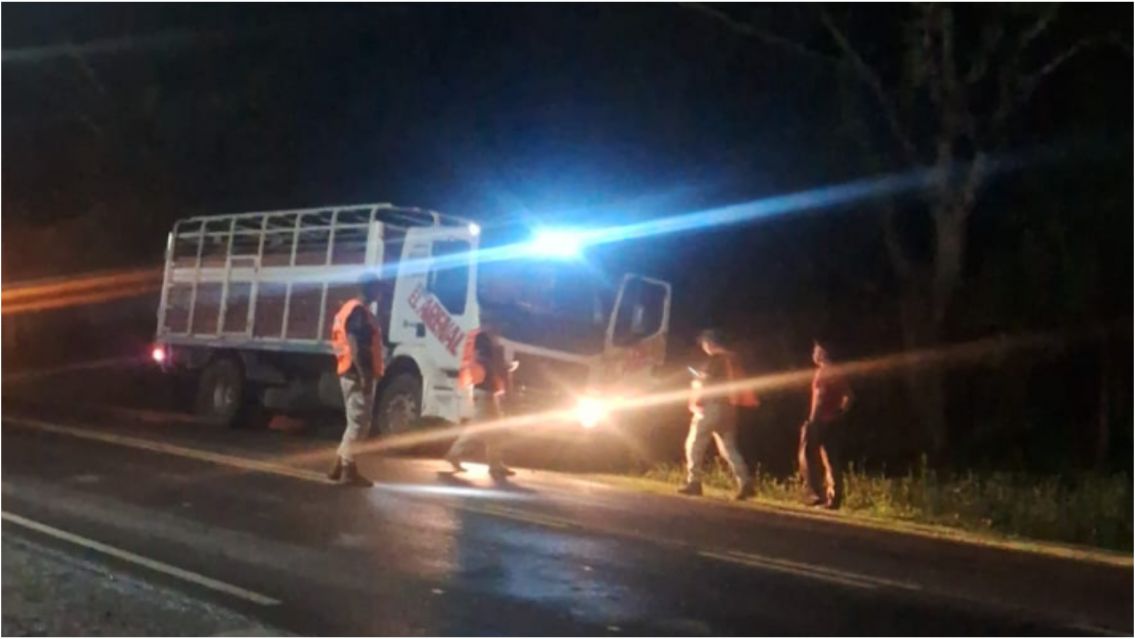 Secuestraron un camión en ruta jujeña con animales y documentación trucha