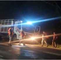 Secuestraron un camión en ruta jujeña con animales y documentación trucha