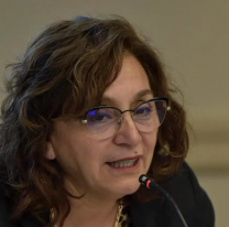 "Es un retroceso": la ministra Serrano cuestionó el proyecto de "Libertad Educativa"