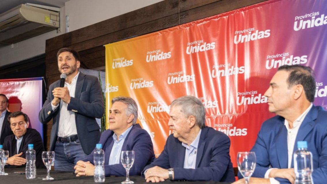 Sadir, Pullaro y Valadez se quedaron con la presidencia de la UCR a nivel nacional