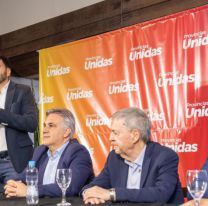 Sadir, Pullaro y Valadez se quedaron con la presidencia de la UCR a nivel nacional