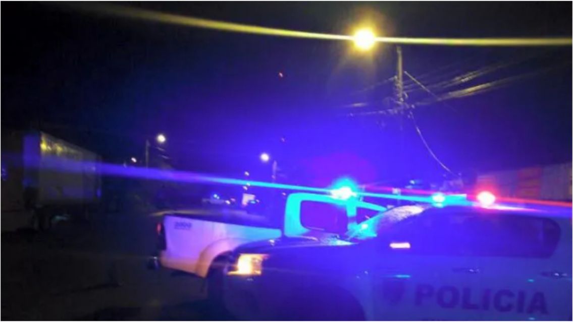 Una mujer le hizo algo terrible a sus 10 perritos y tomó la peor decisión