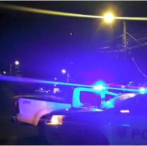 Una mujer le hizo algo terrible a sus 10 perritos y tomó la peor decisión