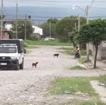 La peor revelaci&oacute;n en Alto Comedero: "Tambi&eacute;n mataron a mi hermano ac&aacute;"