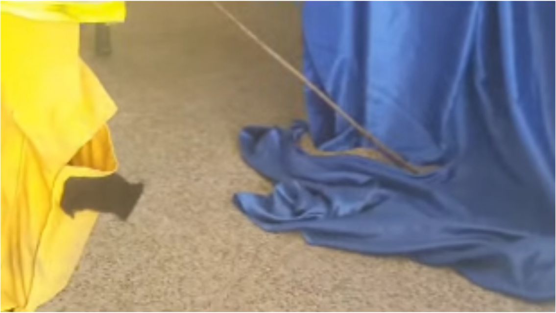Tremendo susto en aula juje�a: Bomberos rescataron una v�bora