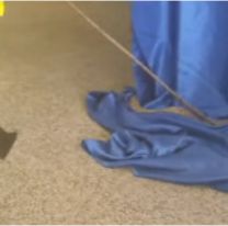 Tremendo susto en aula jujeña: Bomberos rescataron una víbora