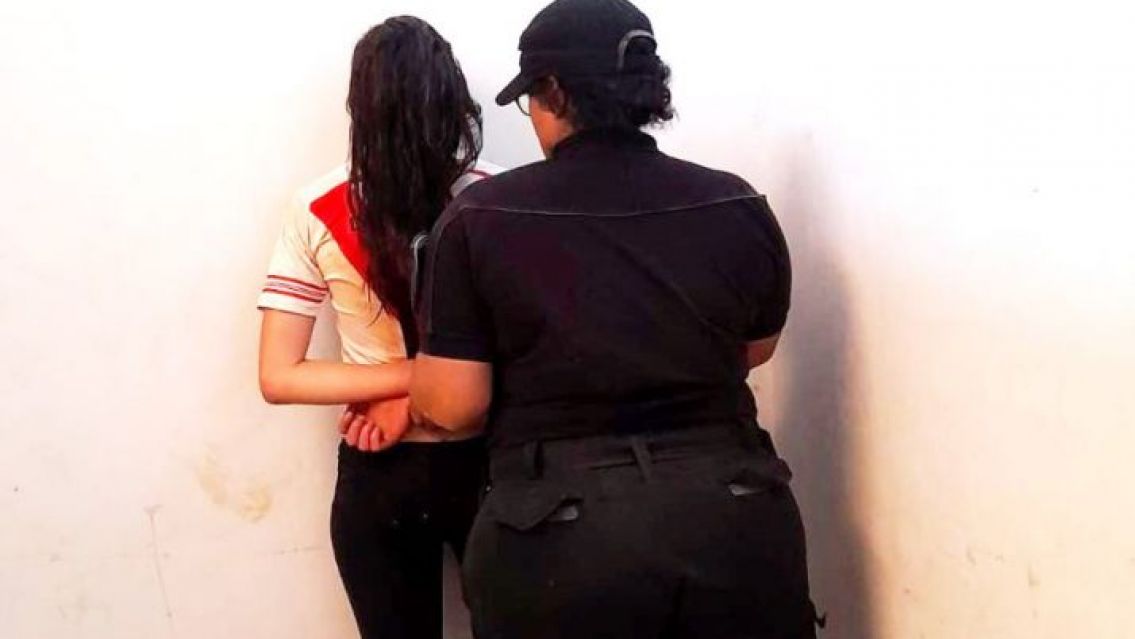 ¿El Grinch en persona? Robó el árbol de Navidad de un negocio y terminó presa