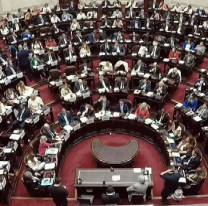 Diputados dio luz verde al Presupuesto 2026, pero frenó el recorte a discapacidad y universidades