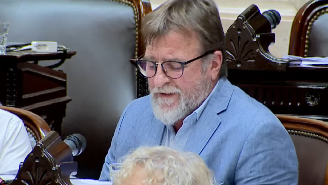 Rizzotti apunt� contra el Presupuesto 2026: "Tiene equilibrio fiscal, pero desequilibrio social y federal"